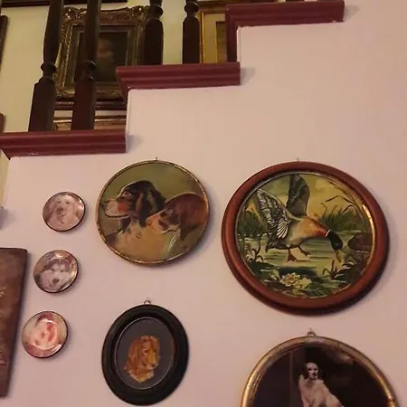 Silvana Bed & Breakfast *